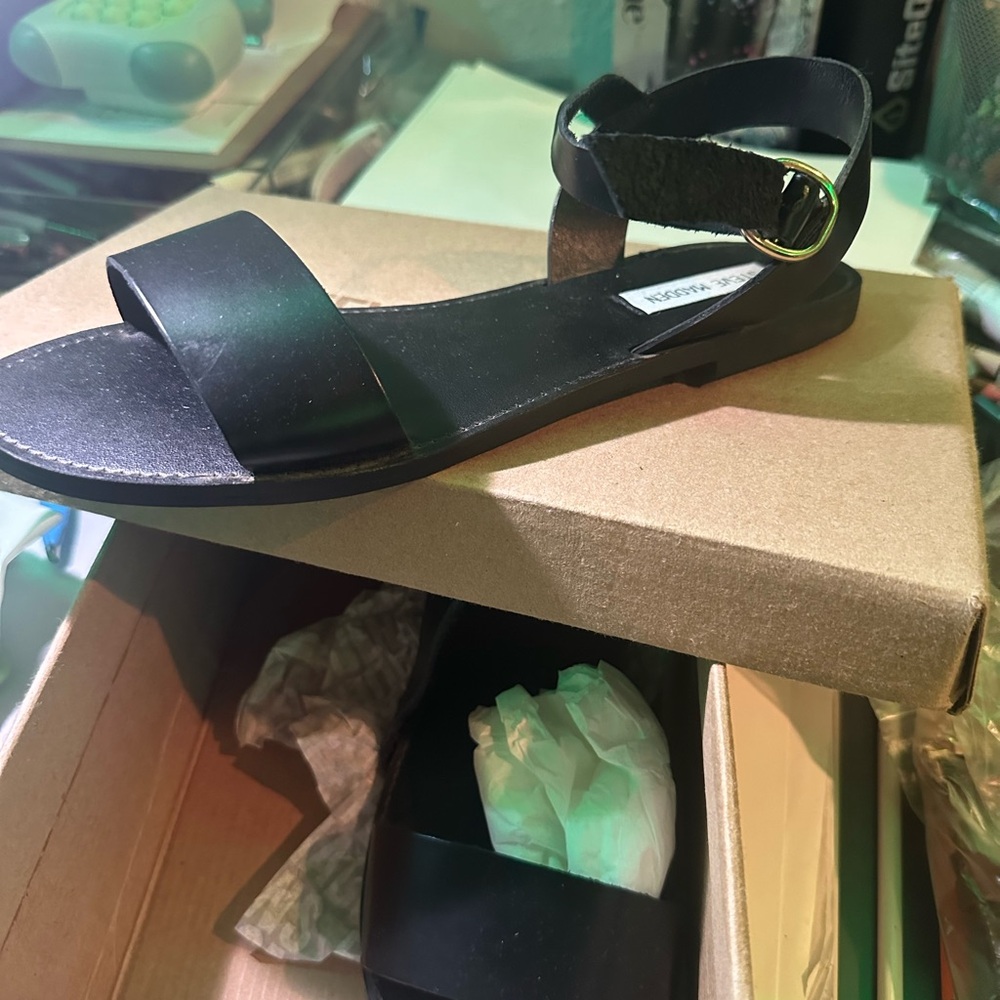 Steve Madden